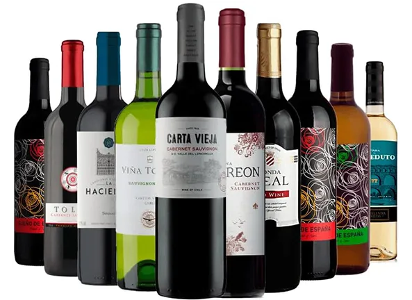 Kit 10 Vinhos